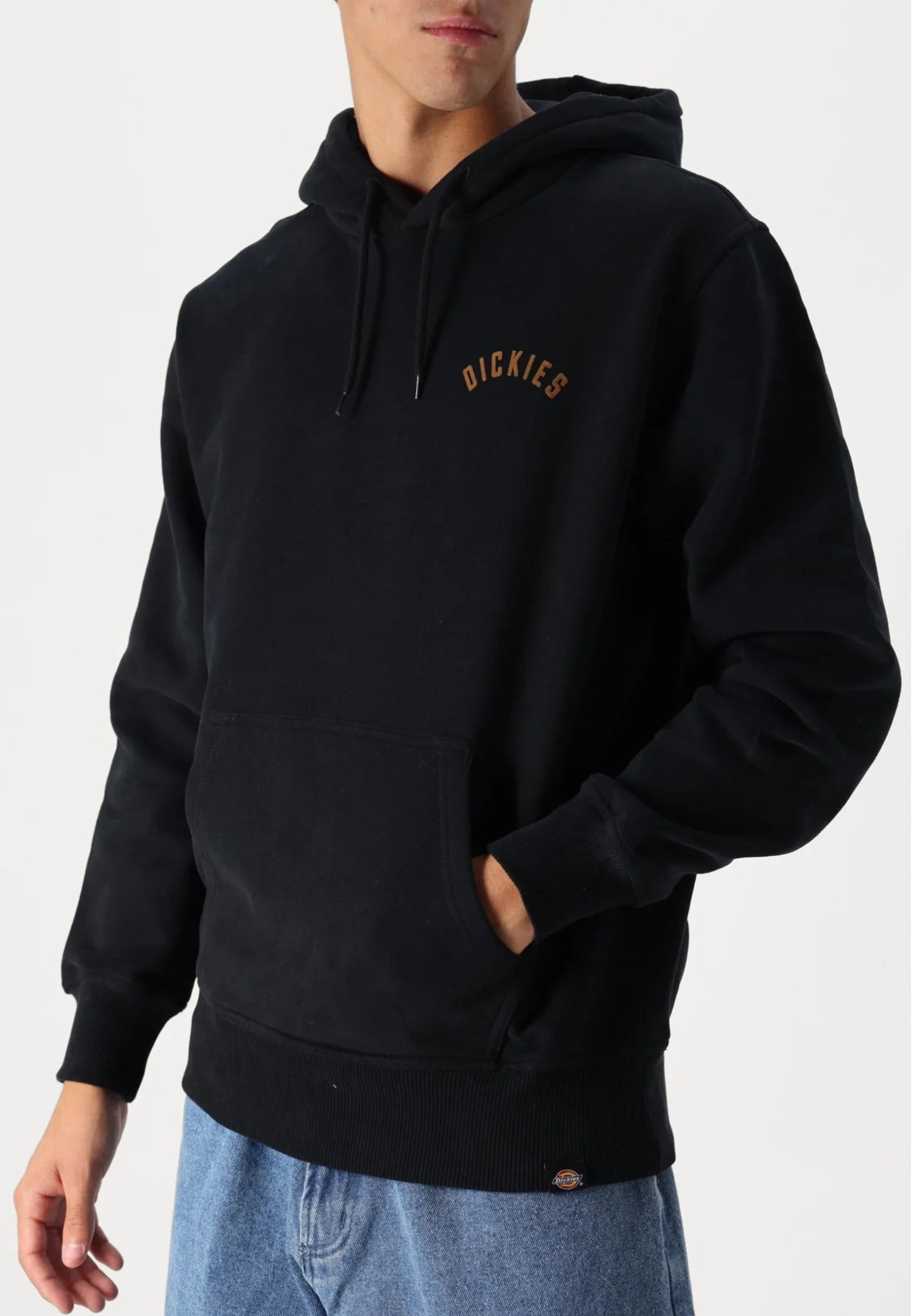 DICKIES džemperis su pūkeliu