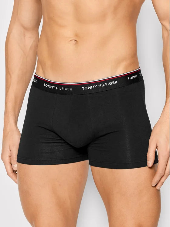 TOMMY HILFIGER  apatiniai vyrams