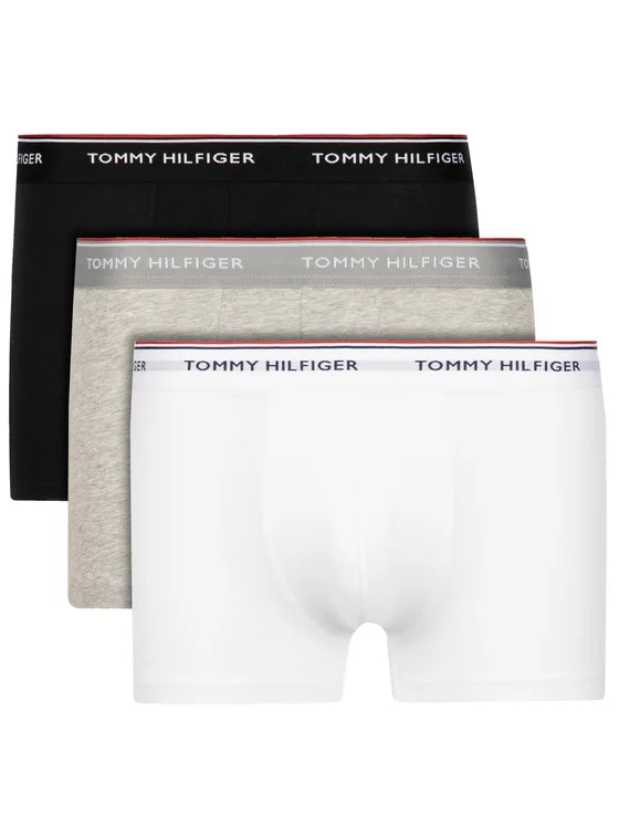 TOMMY HILFIGER  apatiniai vyrams