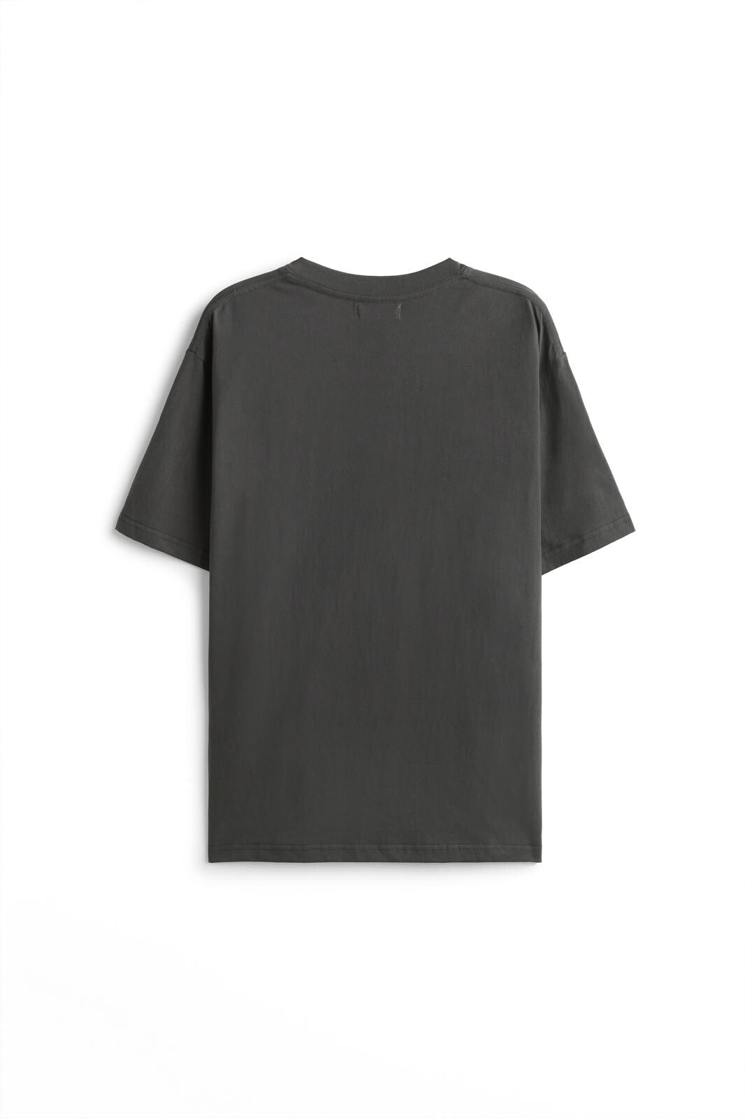 FRILIVIN gray oversized t-shirt for men