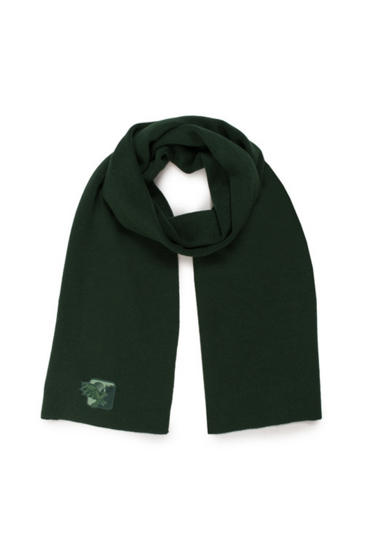 ARMANI EXCHANGE green scarf