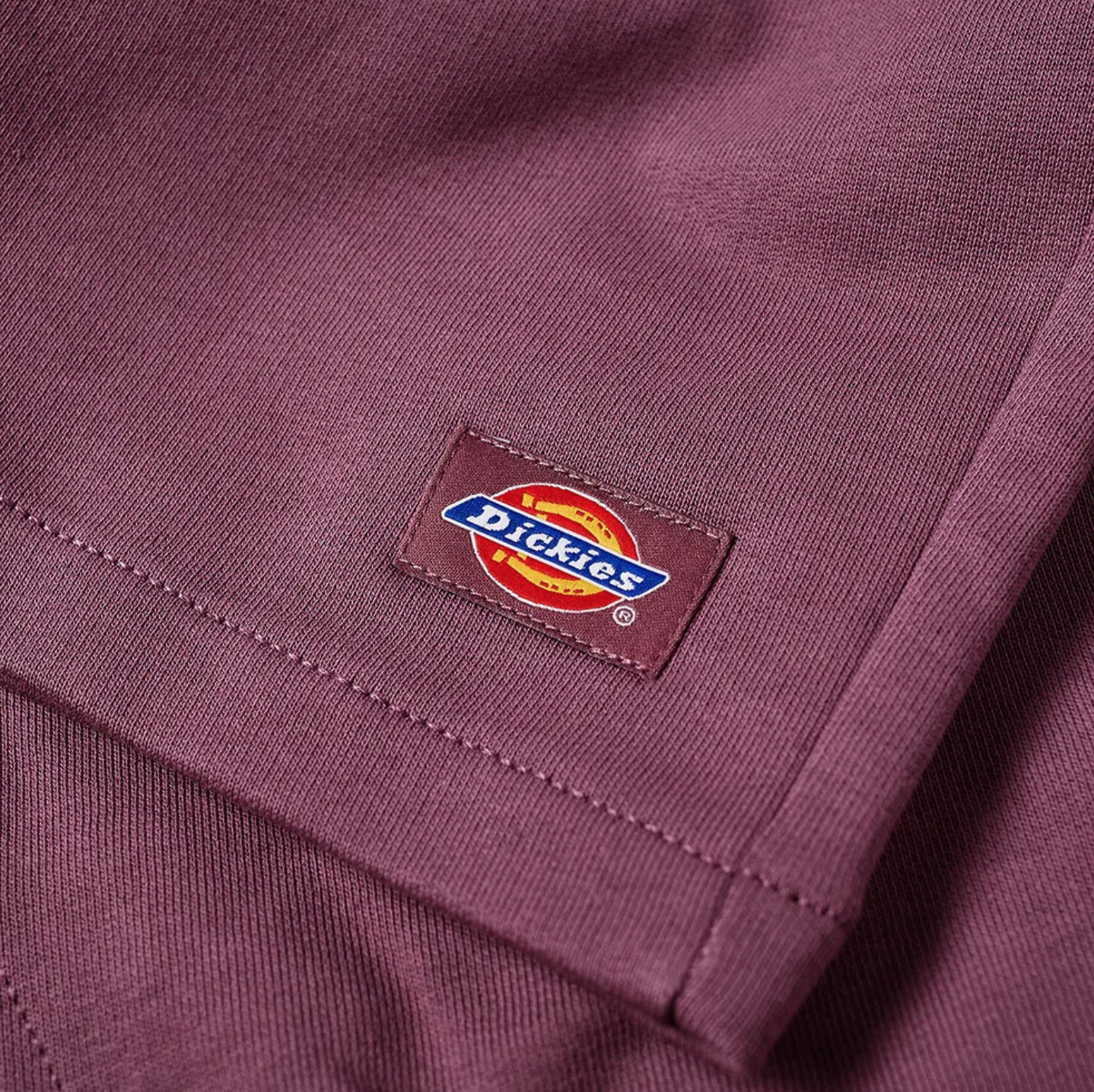 Dickies laisvalaikio šortai vyrams