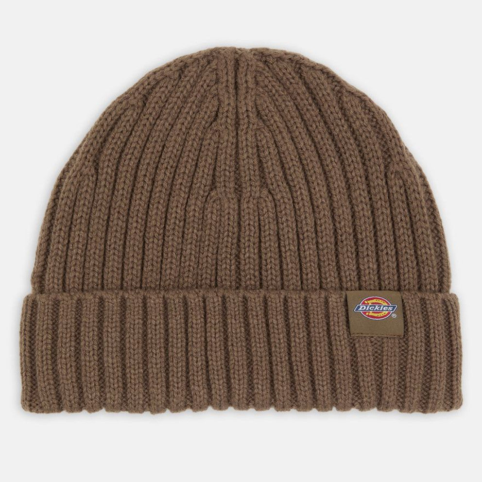 Dickies hat