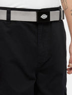 DICKIES universalus diržas